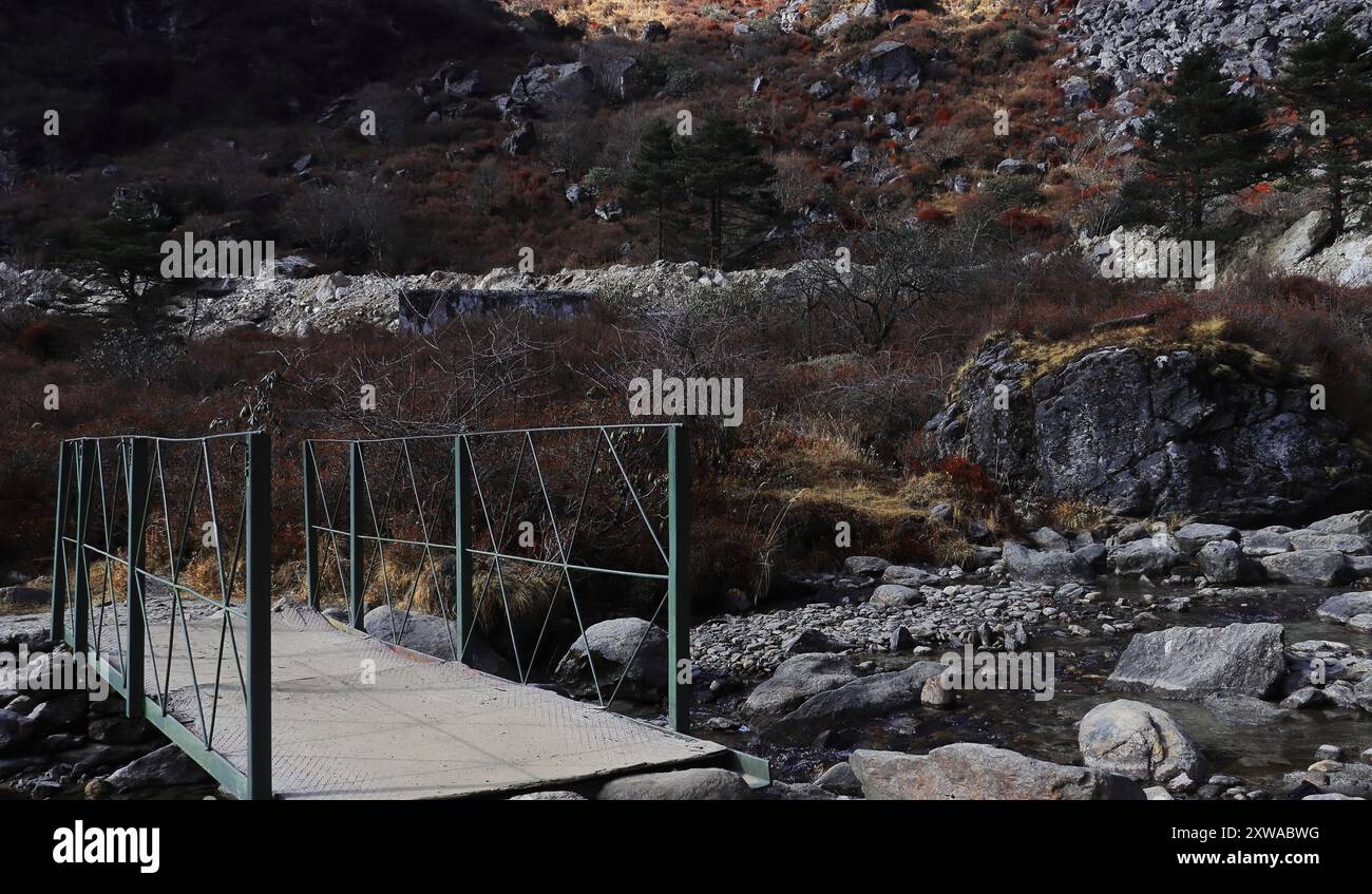 Wunderschöner Gebirgsbach, der durch den Alpenwald im Osten von sikkim fließt, Abenteuer durch das abgelegene Hochland des himalaya, indien Stockfoto