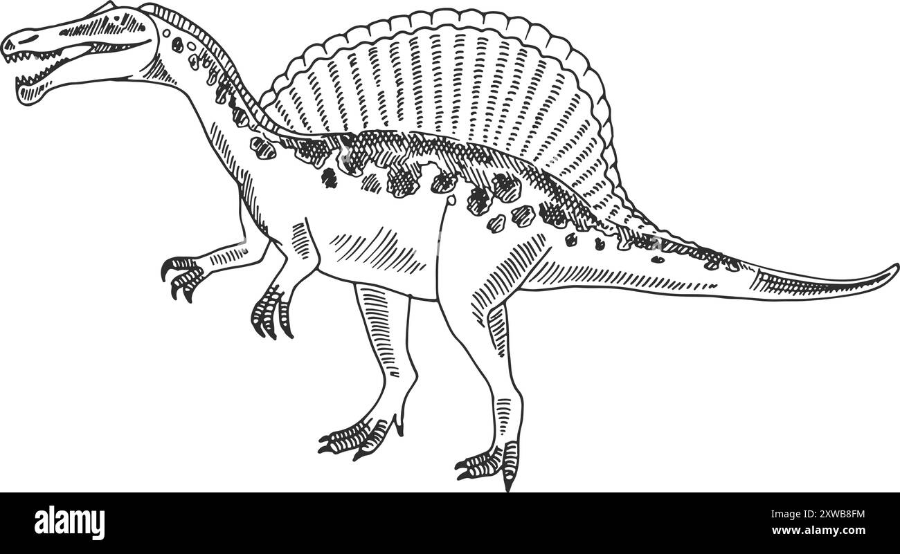 Spinosaurus-Skizze. Handgezeichnetes prähistorisches Dinosauriertier Stock Vektor