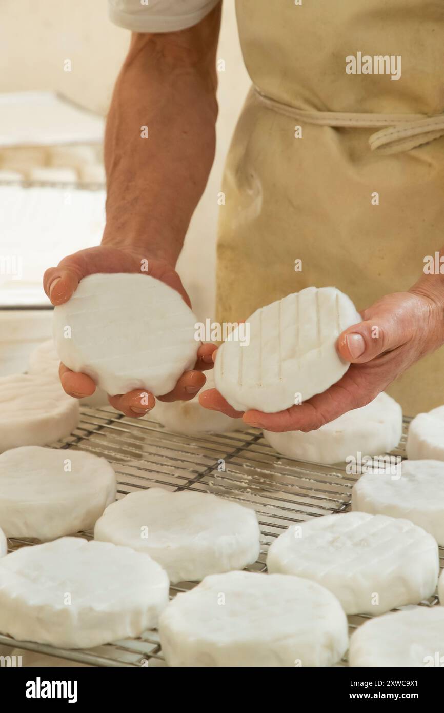 Villers-sur-Auchy (Nordfrankreich): Cheesemonger Jean-Marie Beaudoin. Herstellung und Verkauf von ökologischem Bauernkäse. Rohmilchkäse ‚Fontenot‘ Stockfoto