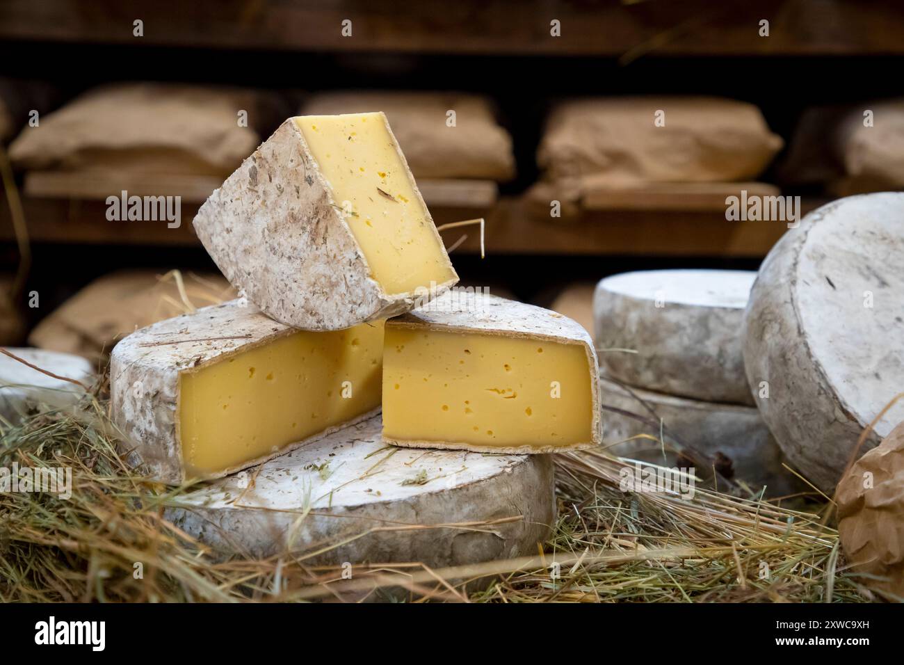 Villers-sur-Auchy (Nordfrankreich): Cheesemonger Jean-Marie Beaudoin. Herstellung und Verkauf von ökologischem Bauernkäse. Rohmilchkäse „Tomme au foin Stockfoto