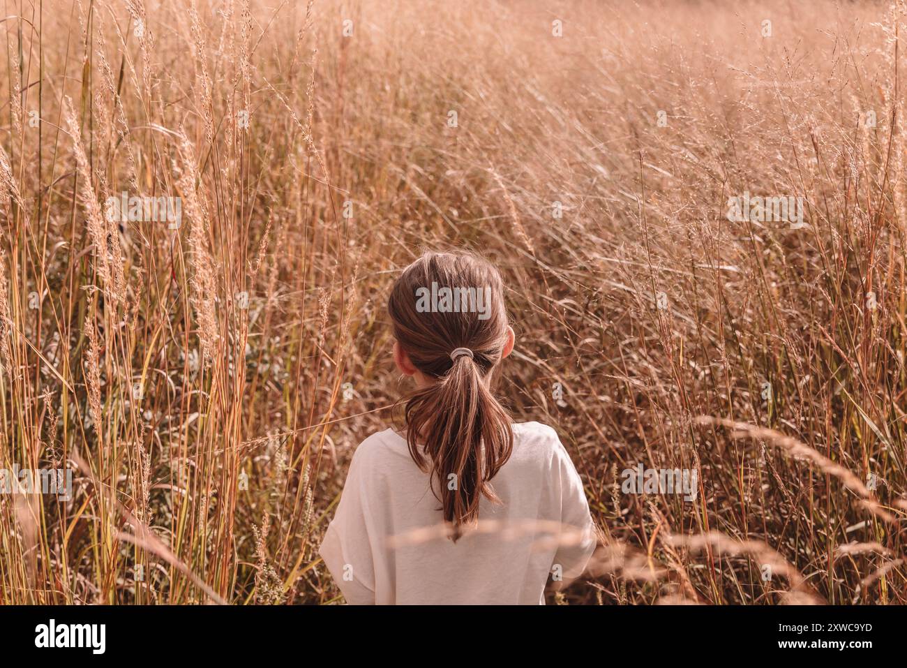 7-Jährige, die mit ihren Haaren im Pferdeschwanz auf einem Feld läuft Stockfoto