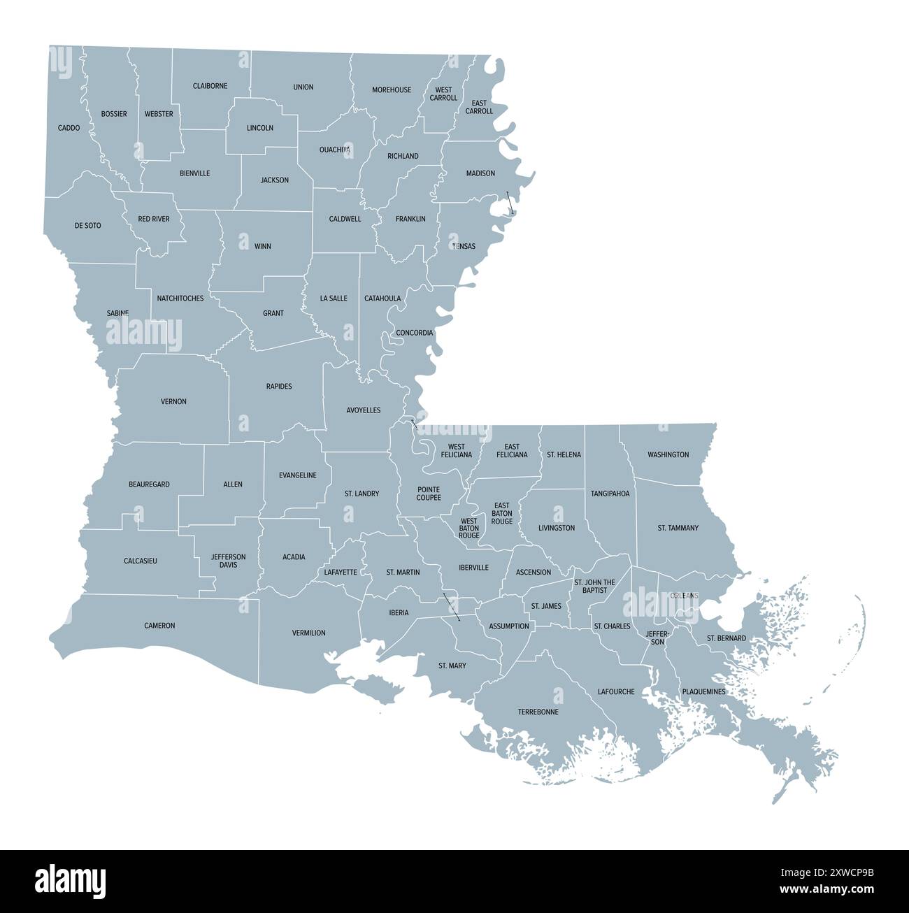 Louisiana, US-Bundesstaat, graue politische Karte mit Grenzen und Gemeindenamen. Bundesstaat in den Regionen Deep South und South Central der Vereinigten Staaten. Stockfoto