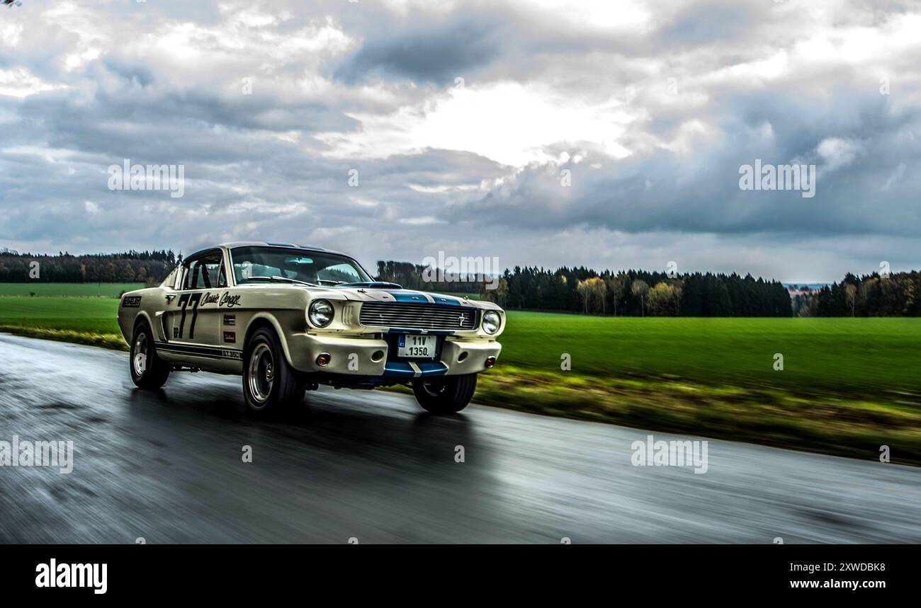 ford Mustang GT 350 shelby Stockfoto