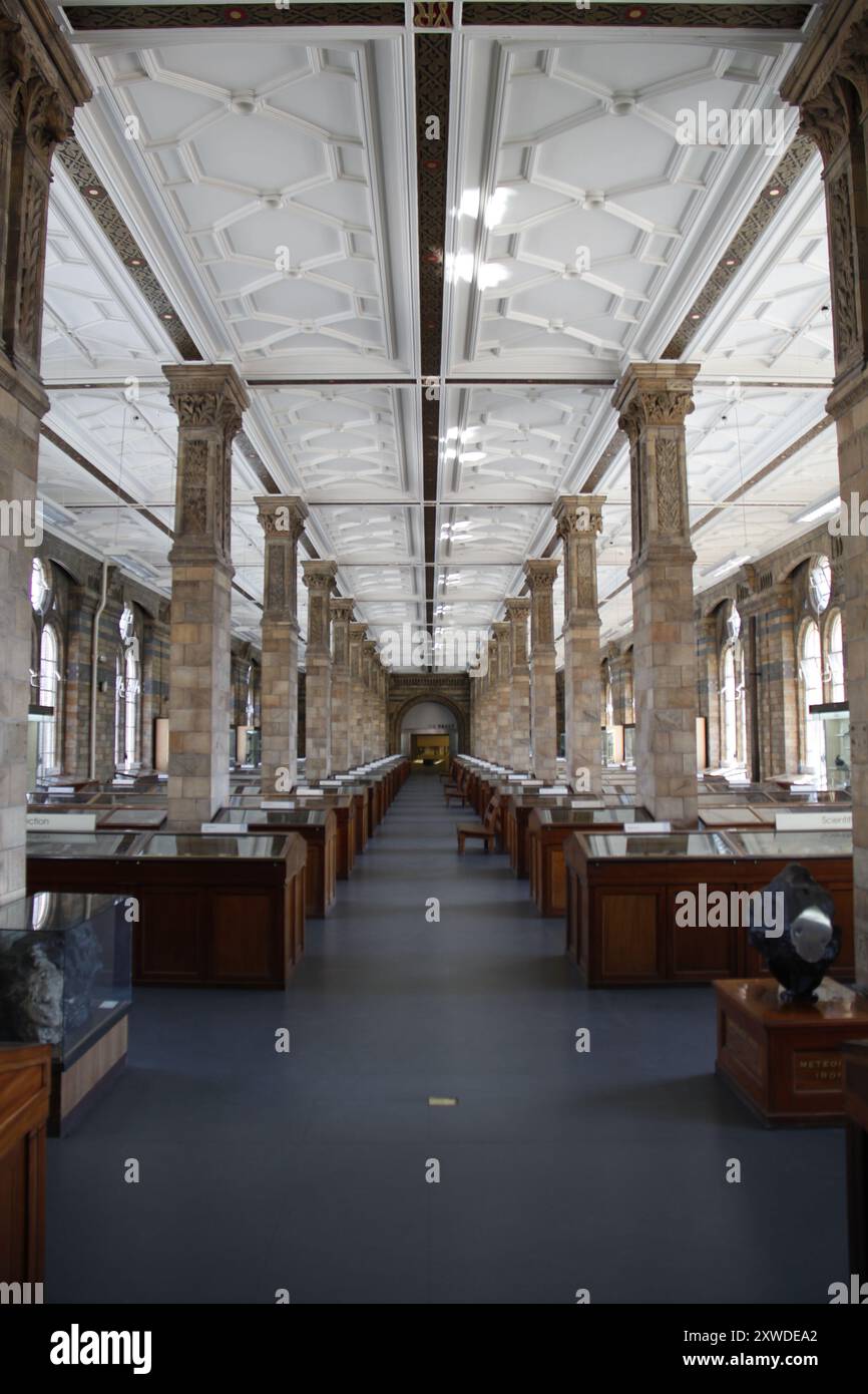 Ausstellung im British Natural History Museum, London Stockfoto