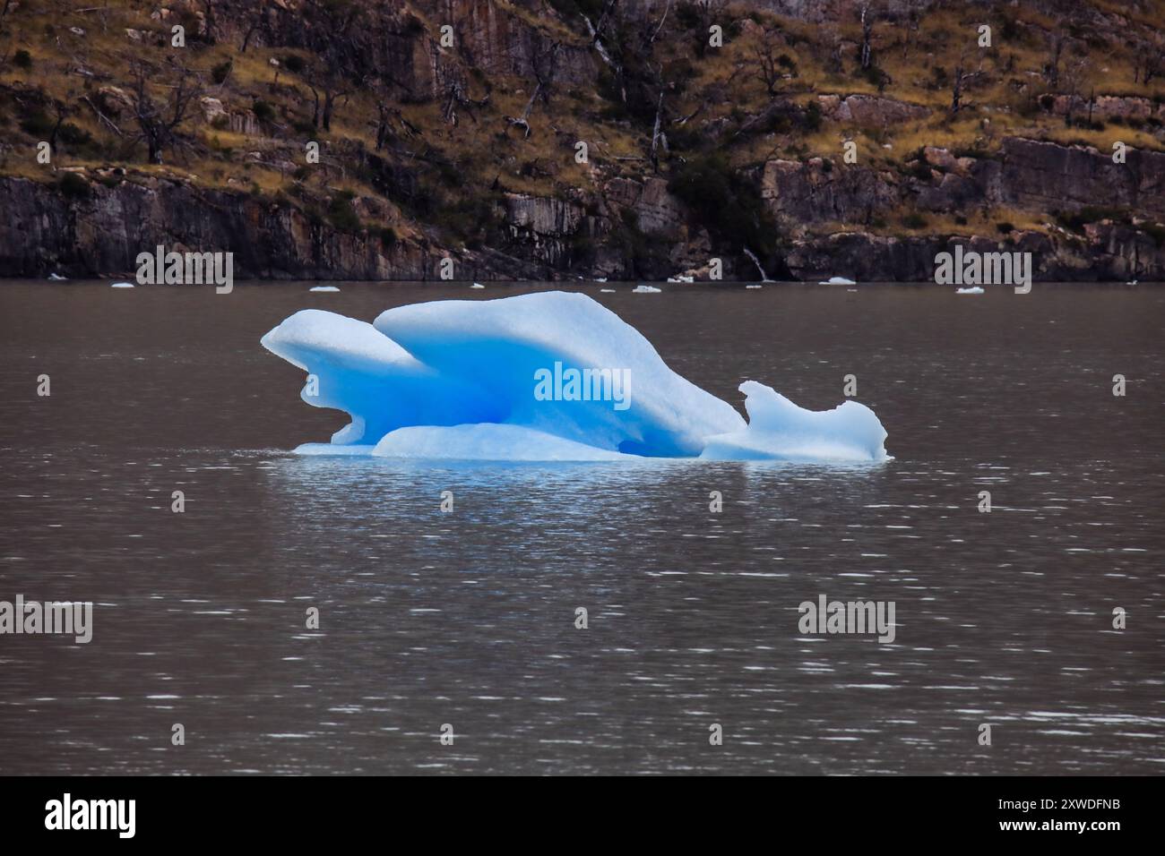 Eisstück im Grau-See, in der Nähe des Grauen Gletschers im Südpatagonischen Eisfeld, Chile Stockfoto