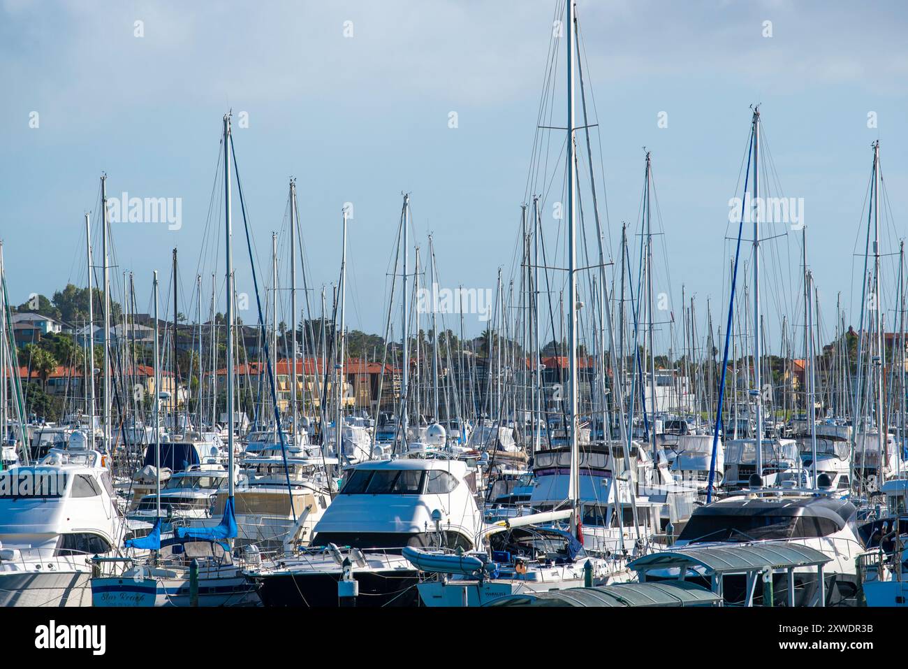 Ein sehr überfüllter Yachthafen am Gulf Harbour Marina an der Ostküste in der Nähe der Whangaparaoa Halbinsel, nördlich von Auckland City, Neuseeland Stockfoto