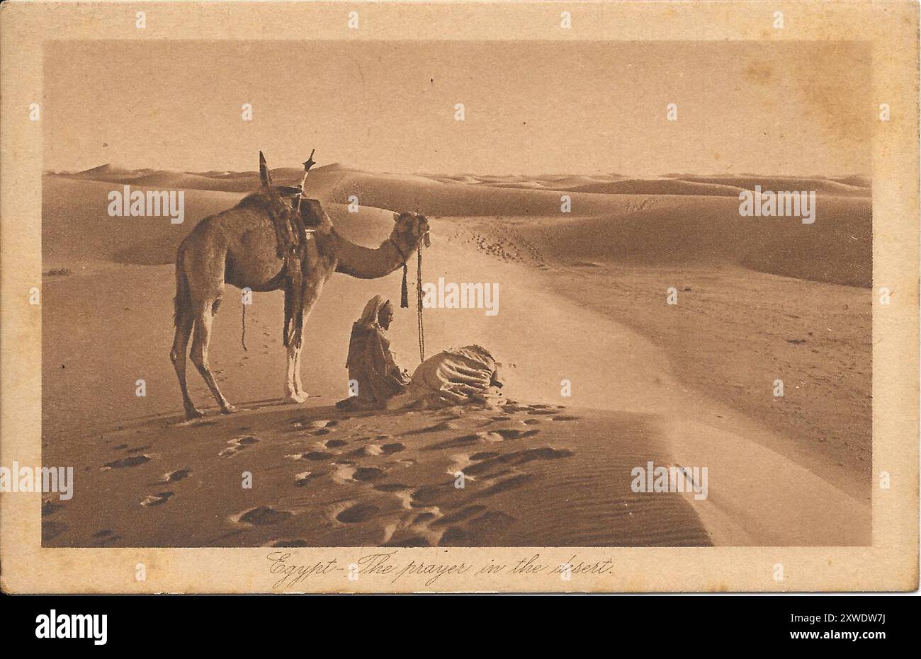 Set mit ägyptischen Postkarten aus meiner Familiensammlung aus den 1900er Jahren Stockfoto