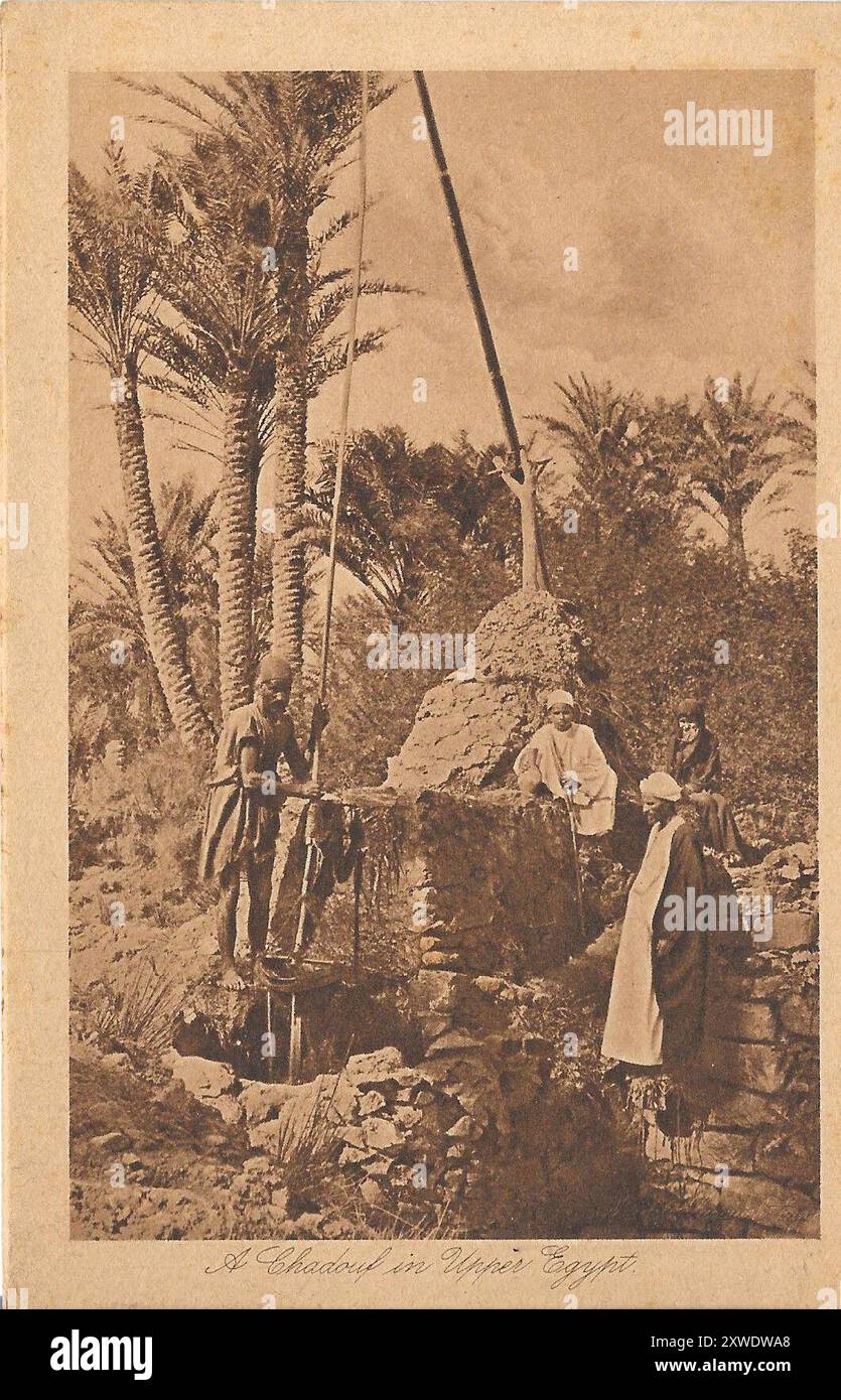 Set mit ägyptischen Postkarten aus meiner Familiensammlung aus den 1900er Jahren Stockfoto