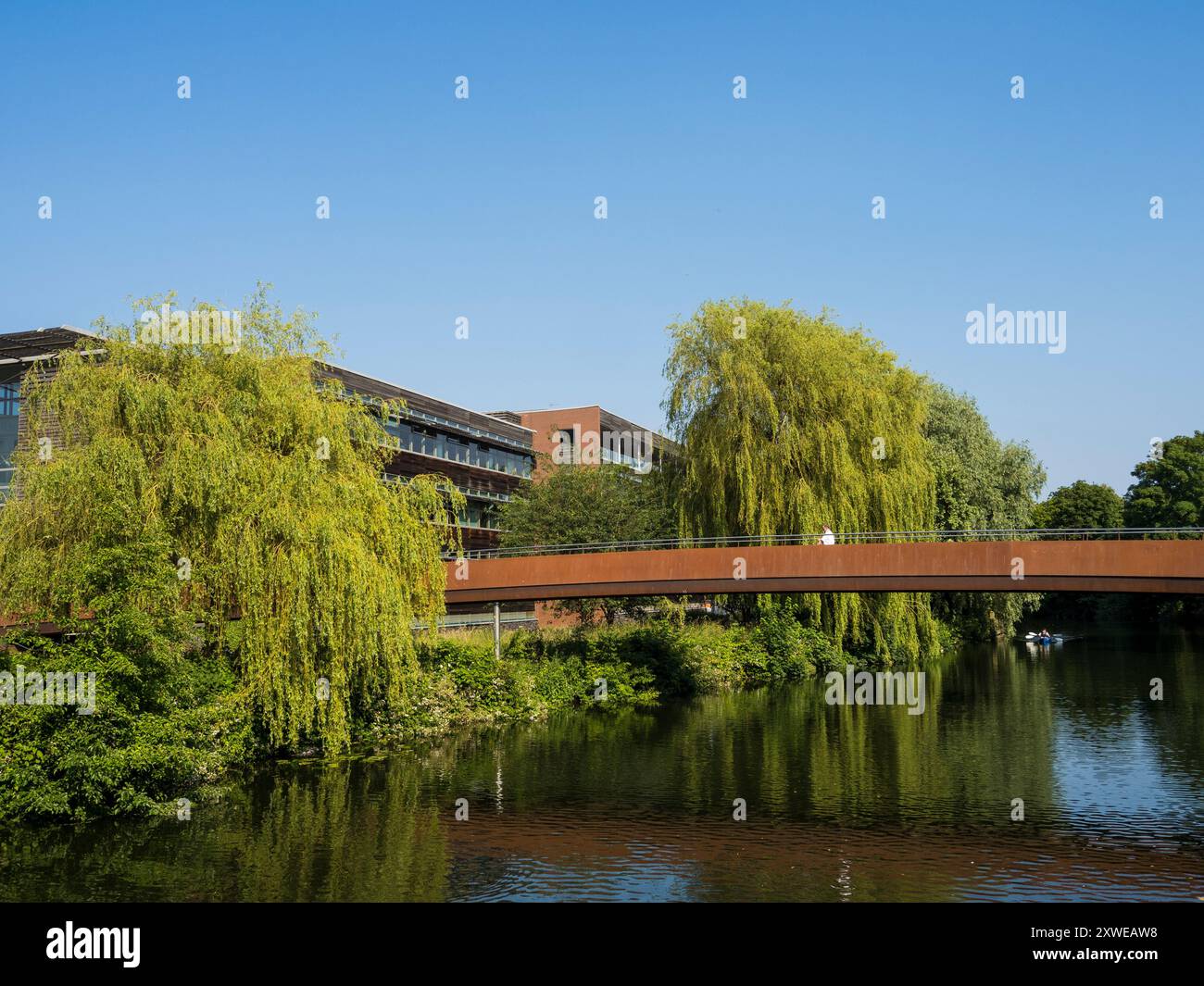 Jarrold Bridge, Steel Foot Bridge, River Wensum, Norwich, Norfolk, England, Großbritannien, GB. Stockfoto