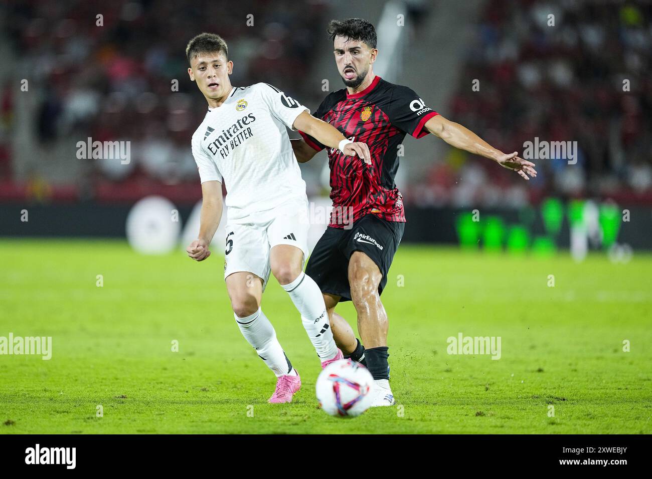 Arda Guler von Real Madrid und Manu Morlanes von RCD Mallorca während der spanischen Meisterschaft La Liga Fußball Spiel zwischen RCD Mallorca und Real Madrid am 18. August 2024 im Son Moix Stadion auf Mallorca, Spanien Stockfoto