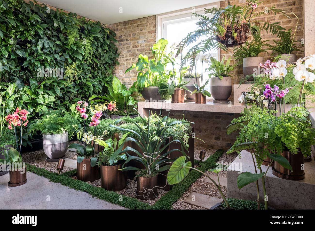 Zimmerpflanzen werden in einem luxuriösen, modernen britischen Haus ausgestellt. London, Großbritannien Stockfoto