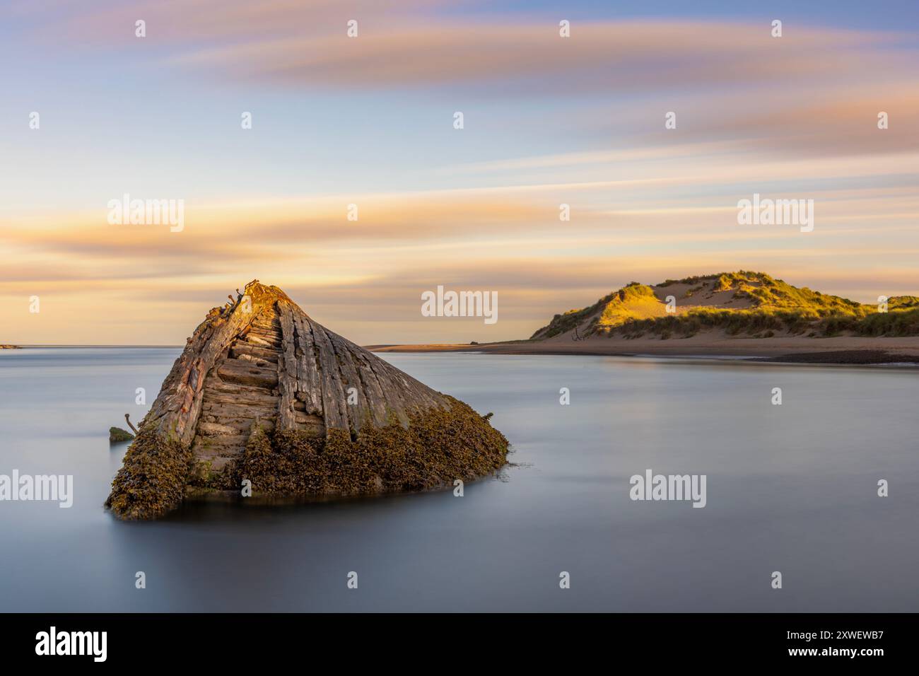 Newburgh Beach, nördlich von Aberdeen gelegen, bietet Wildtierbeobachtungsmöglichkeiten, darunter Robben, Wale, Delfine und verschiedene Vogelarten, mit einem Stockfoto