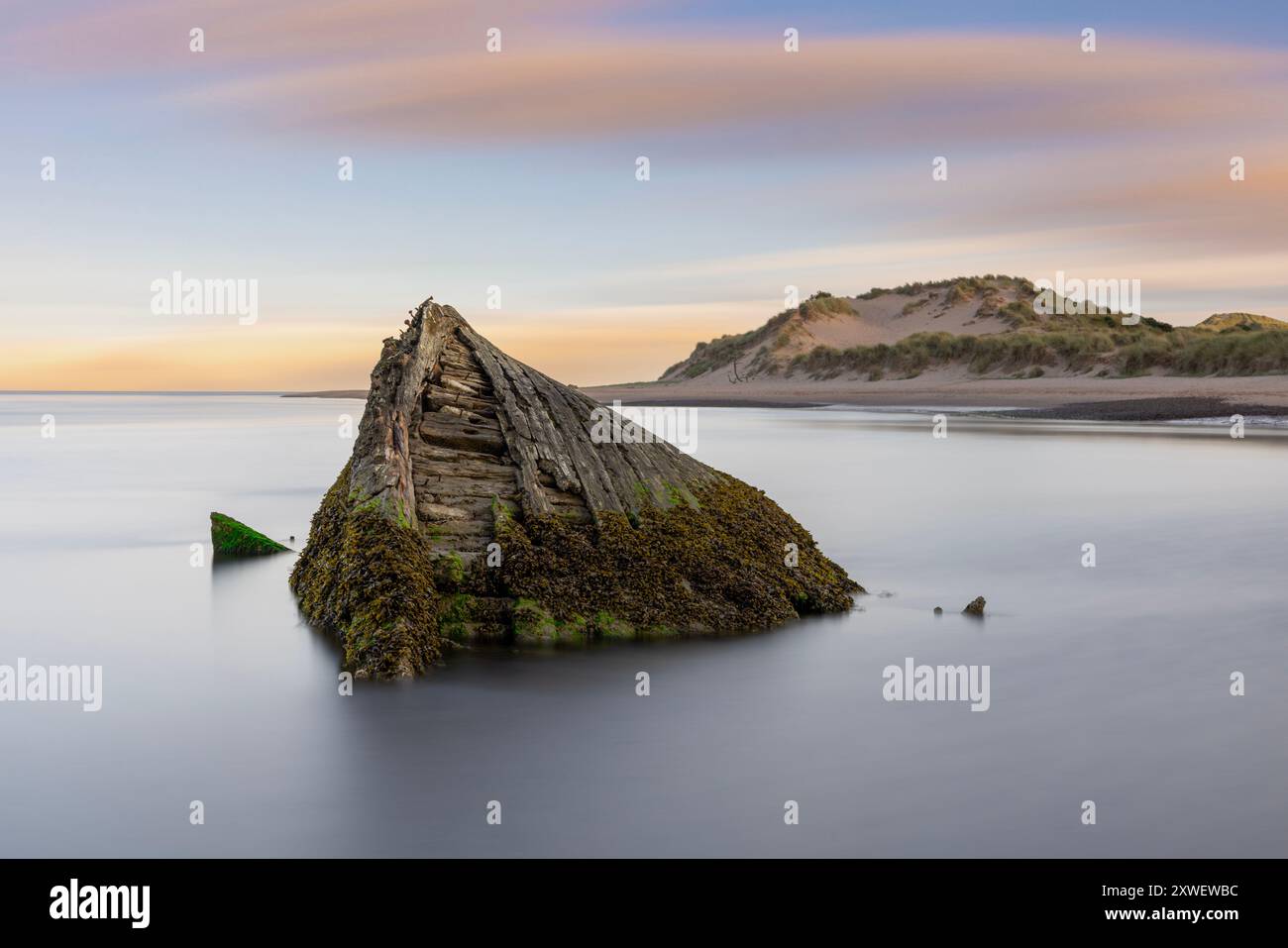 Newburgh Beach, nördlich von Aberdeen gelegen, bietet Wildtierbeobachtungsmöglichkeiten, darunter Robben, Wale, Delfine und verschiedene Vogelarten, mit einem Stockfoto