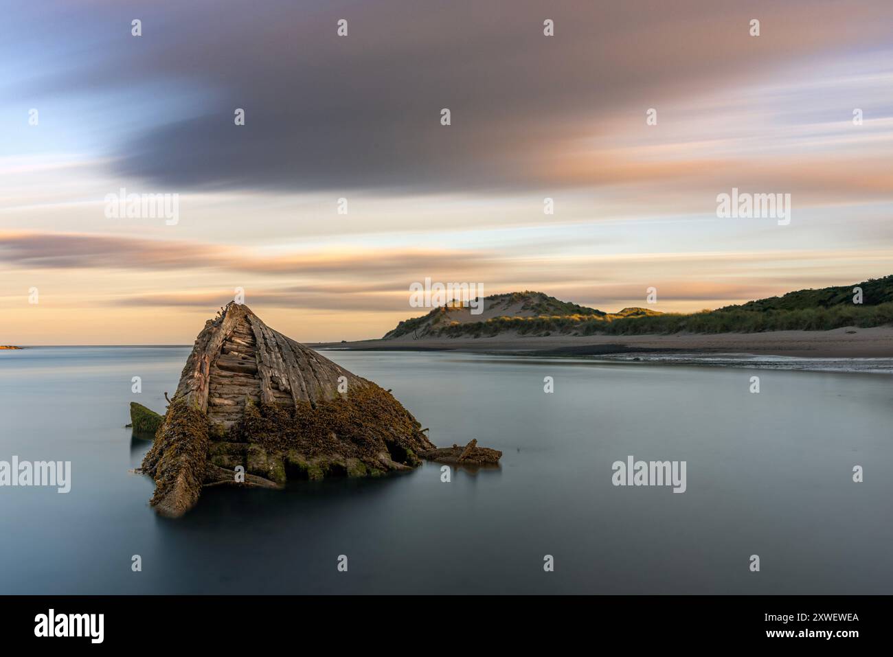 Newburgh Beach, nördlich von Aberdeen gelegen, bietet Wildtierbeobachtungsmöglichkeiten, darunter Robben, Wale, Delfine und verschiedene Vogelarten, mit einem Stockfoto