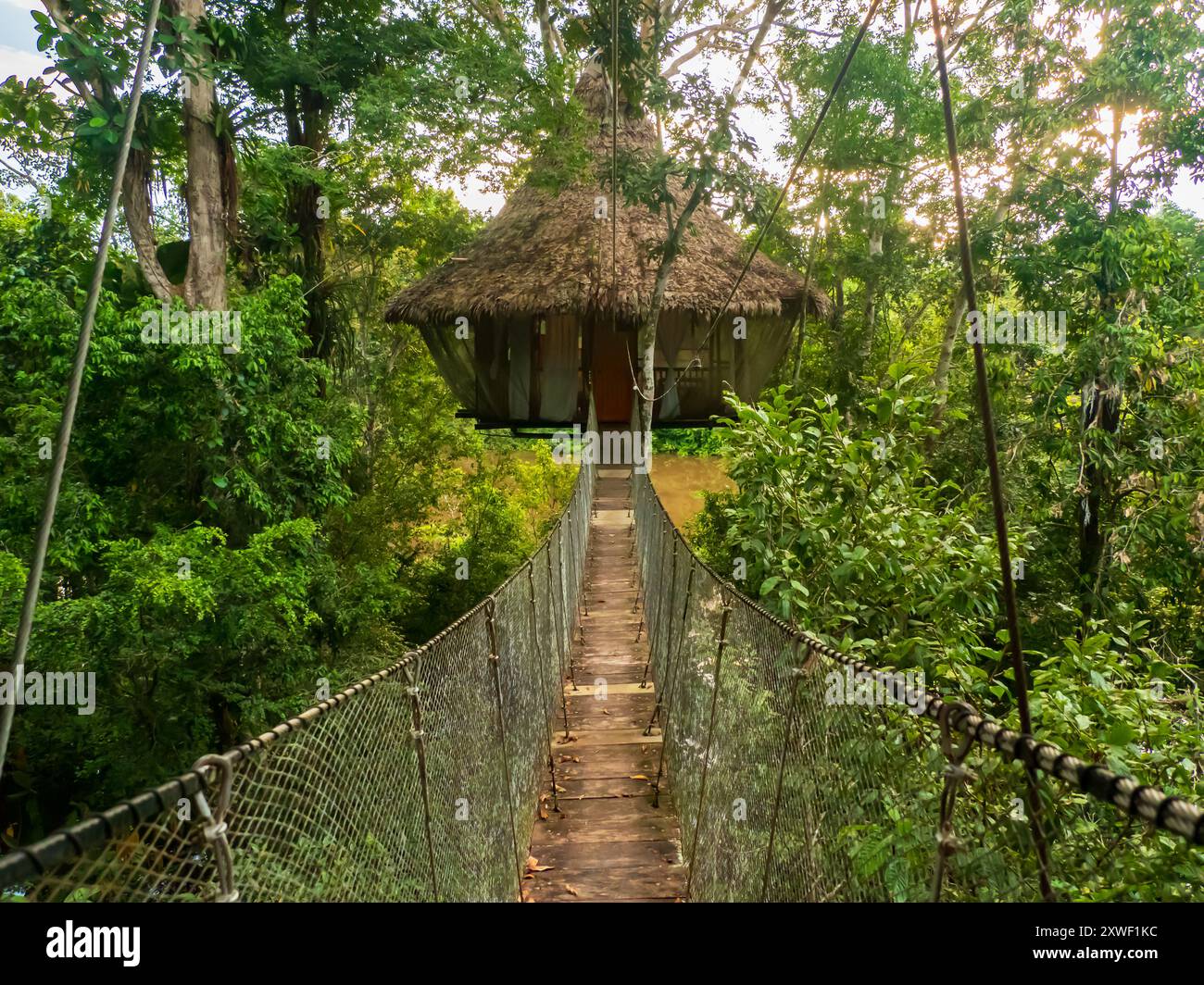 Glamouröse Unterkunft im Regenwald des Amazonas. Holzhaus, Amazonas-Regenwald, Amazonien, Pacaya Samiria National Reserve, Peru, Südamerika. Stockfoto