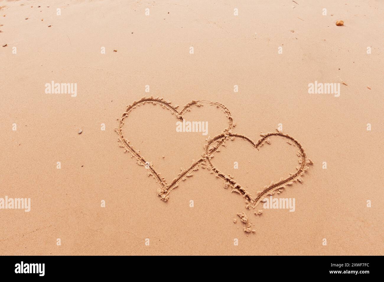 Die Inschrift Ich liebe dich am Meer mit Palmen Stockfoto