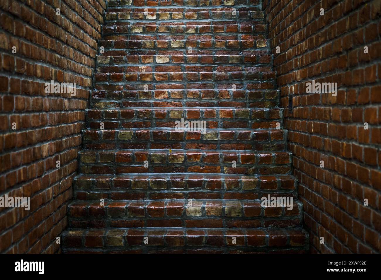 Ziegelarbeiten im Friendship Center. Das Friendship Center in der Nähe der Kreisstadt Gaibandha in Bangladesch ist für eine NGO, die mit einigen der ärmsten im Land zusammenarbeitet und hauptsächlich auf Flussinseln (Chars) mit sehr begrenztem Zugang und Möglichkeiten lebt. Friendship nutzt die Einrichtung für eigene Trainingsprogramme und vermietet auch für Meetings, Schulungen, Konferenzen usw. als Einkommensgenerierung. Stockfoto