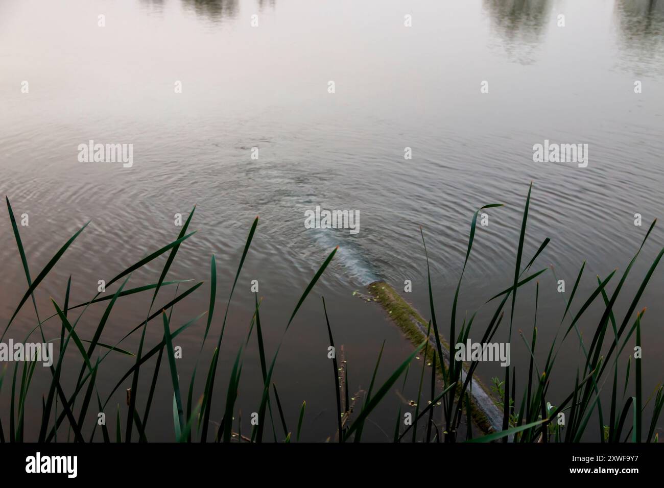 Verunreinigtes Wasser fließt aus der Leitung in den Fluss. Das Brauchwasser fließt über die Kanalisationsleitung in den Fluss. Umweltverschmutzung Stockfoto