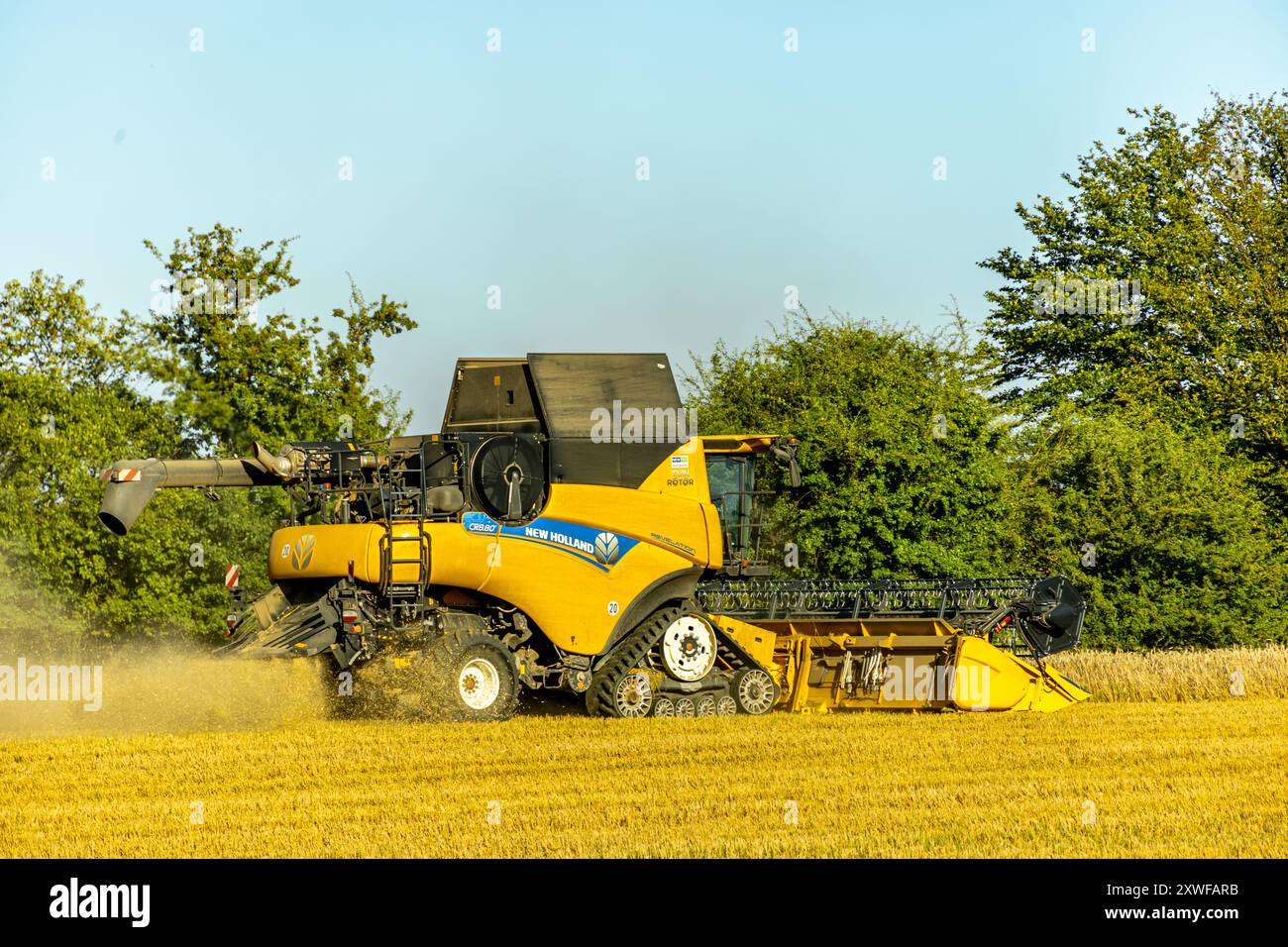 Beginn der Spätsommerernte im Weimarer Land bei Apolda - Thüringen - Deutschland Stockfoto