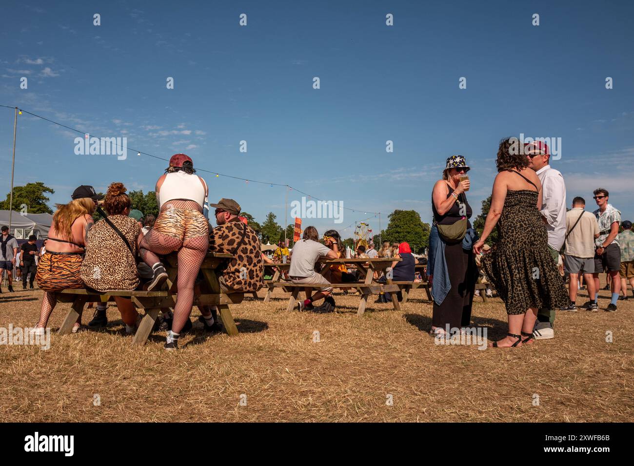 Wimborne St. Giles, 16. August 2024: WE Out Here Festival Stockfoto