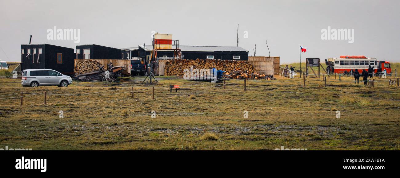 Tierwelt im Patagonia Field, Chile Stockfoto