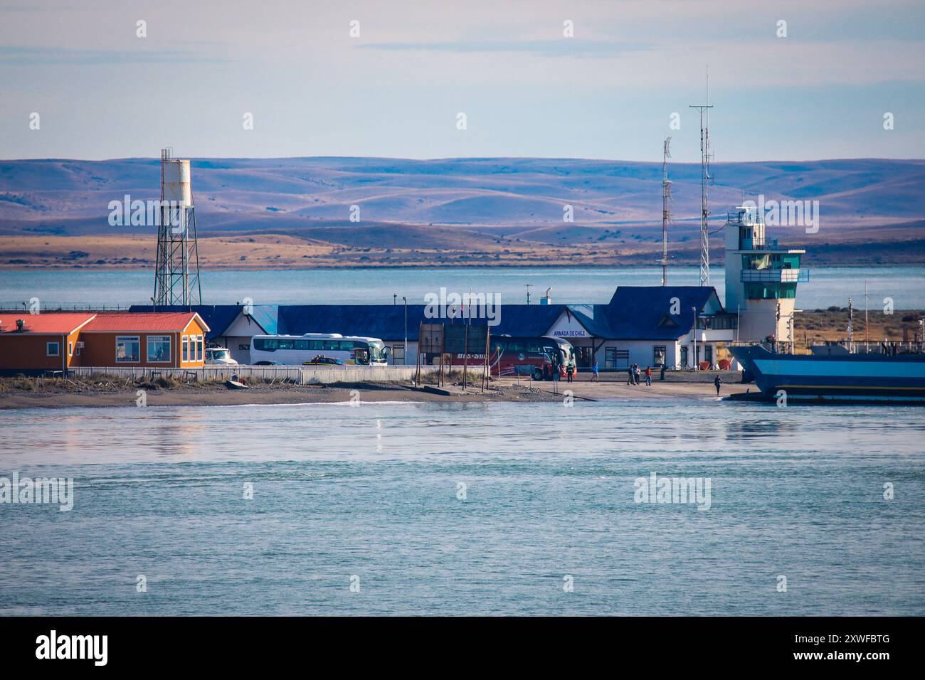Tierwelt im Patagonia Field, Chile Stockfoto