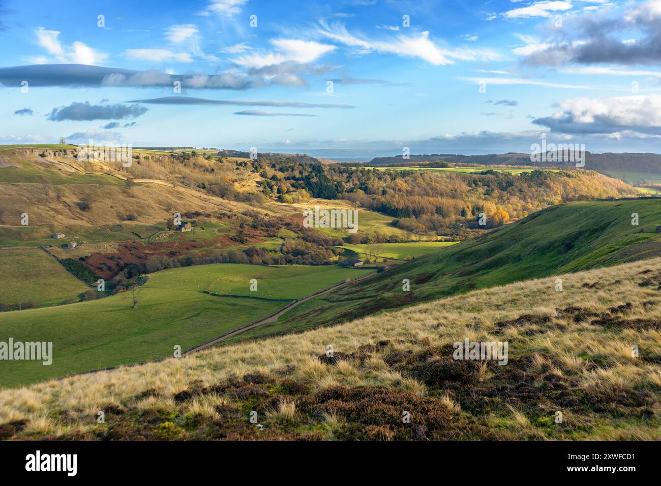Ein Panoramablick zeigt üppige grüne Hügel, farbenfrohe Herbstlaub und einen klaren blauen Himmel, der die Schönheit der Landschaft einfängt. Stockfoto