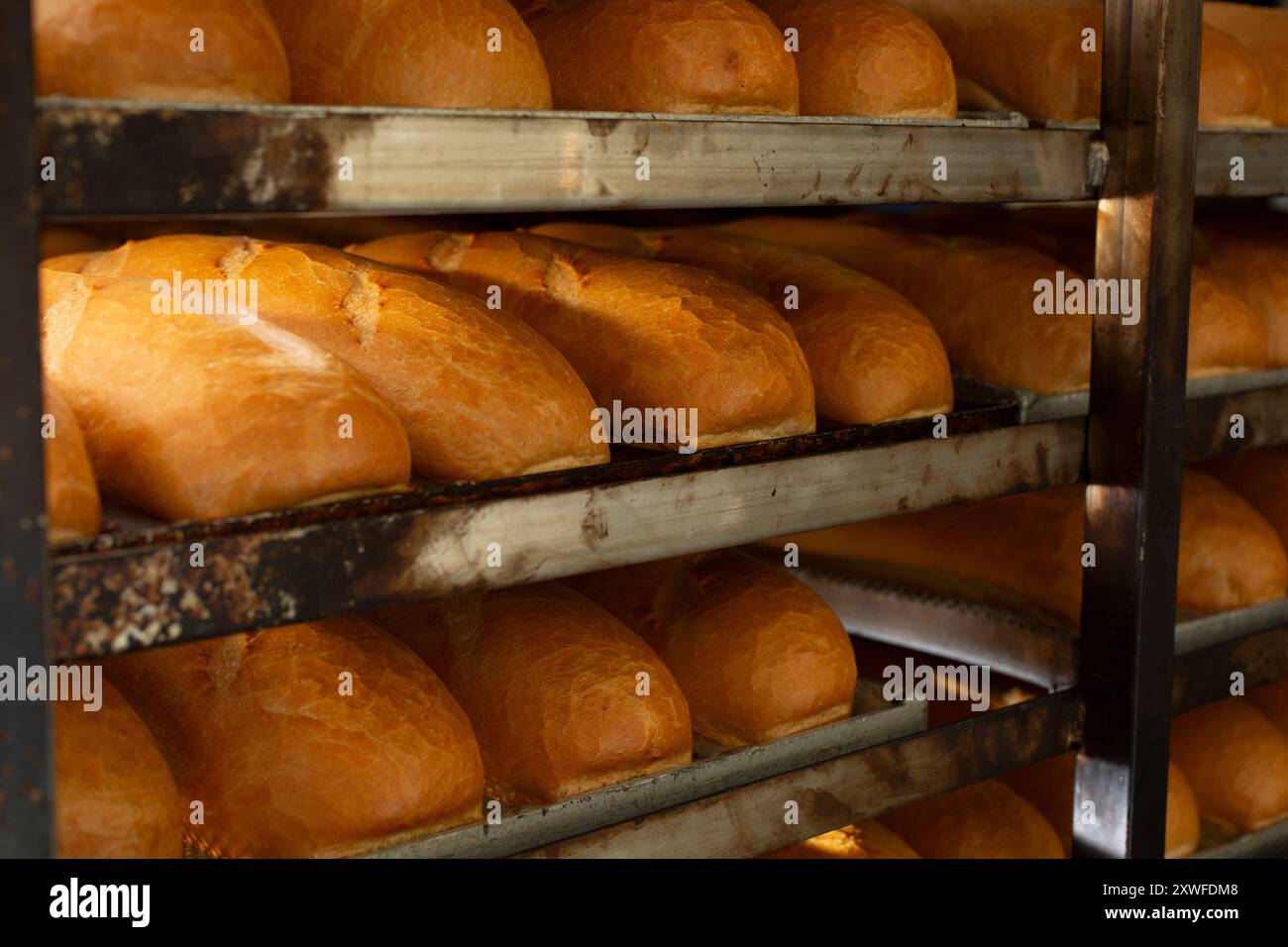 Ein Blick auf mehrere Mahlwerksbrötchen auf einem großen Brotregal. Stockfoto