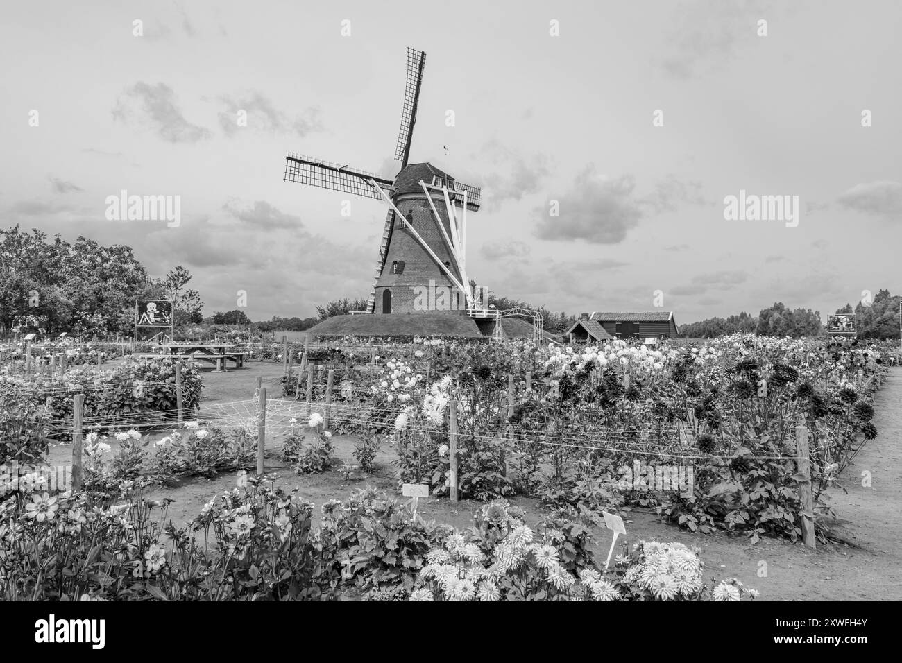 Eibergen in den niederlanden Stockfoto