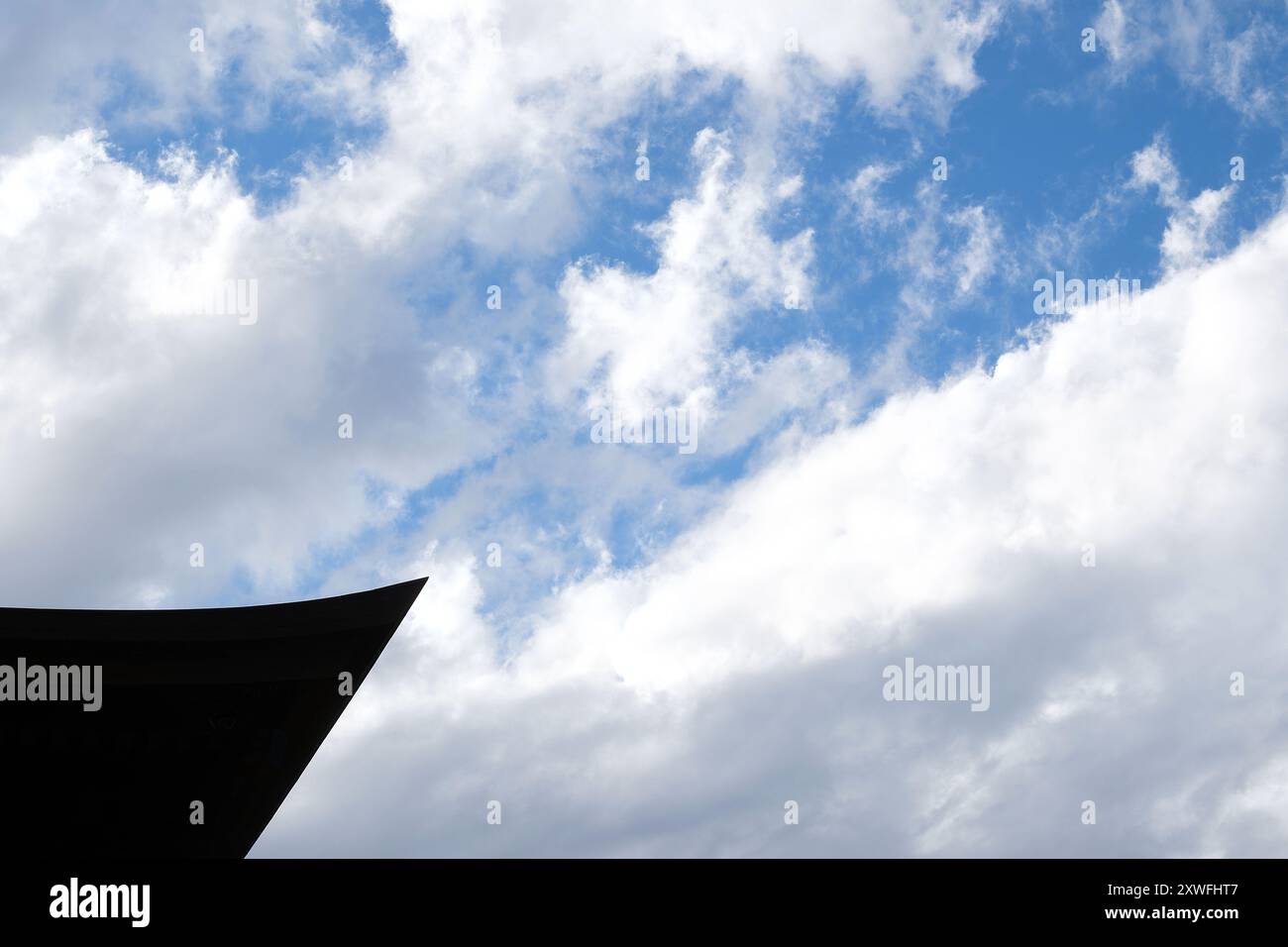 Erde und Himmel im Meji-Schrein in Tokio, Japan. Stockfoto