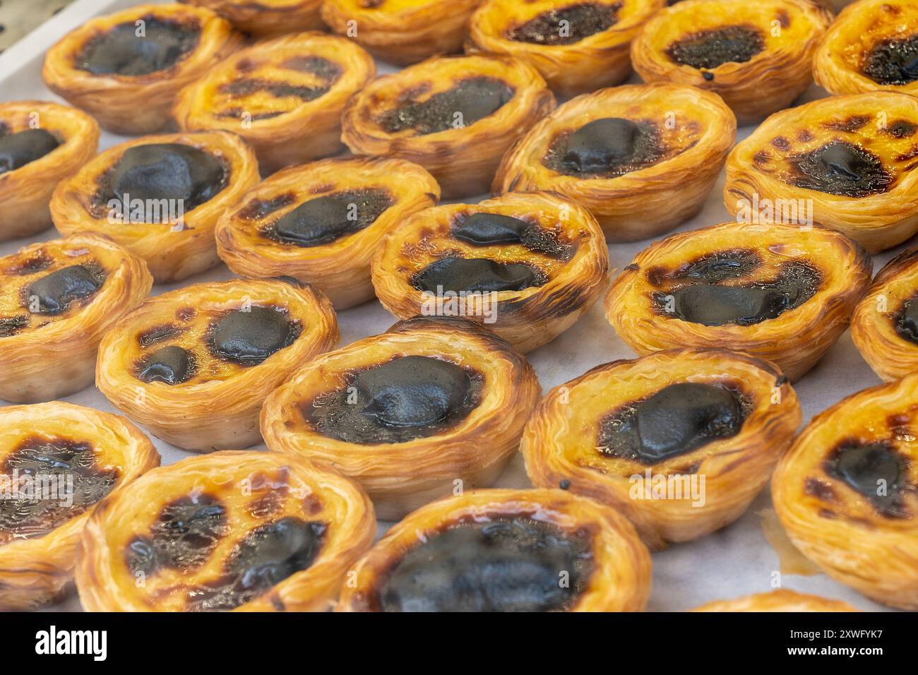 Pastell de Nata (Creme Tarte) zum Verkauf, wie im Gebäckfenster zu sehen. Die Pudding-Tarte ist Portugals berühmtester Kuchen. Stockfoto