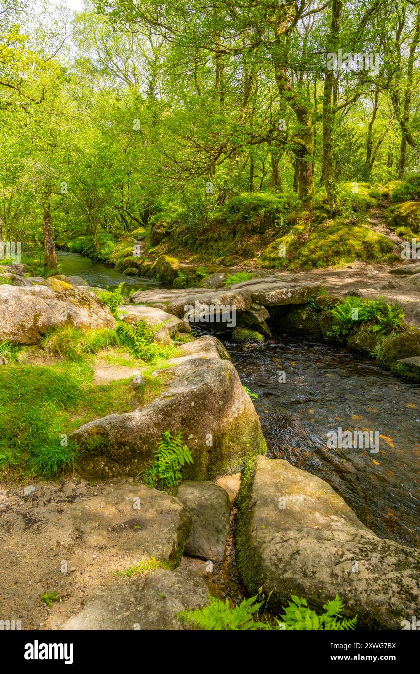 Clapper Bridge über den Becka Brook unterhalb von Haytor Dartmoor Devon Stockfoto