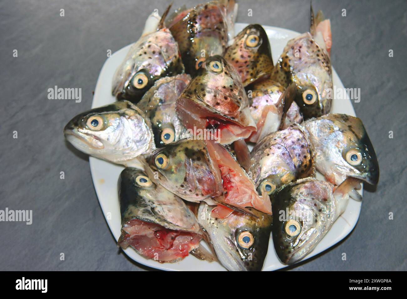 regenbogenforellen (Oncorhynchus mykiss, Salmo gairdneri), Fischköpfe von geschlachteten Forellen auf einem Teller Stockfoto