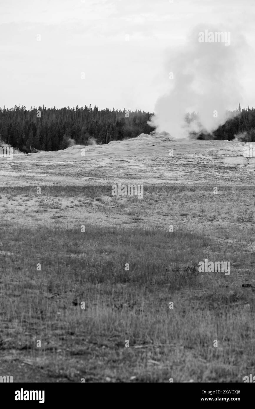 Der alte Geysir in Schwarz und weiß Stockfoto