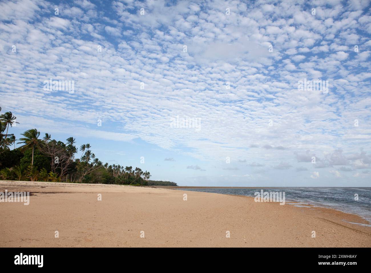 Riesiger leerer Strand mit Palmen, Platz zum Kopieren, Fidschi Stockfoto