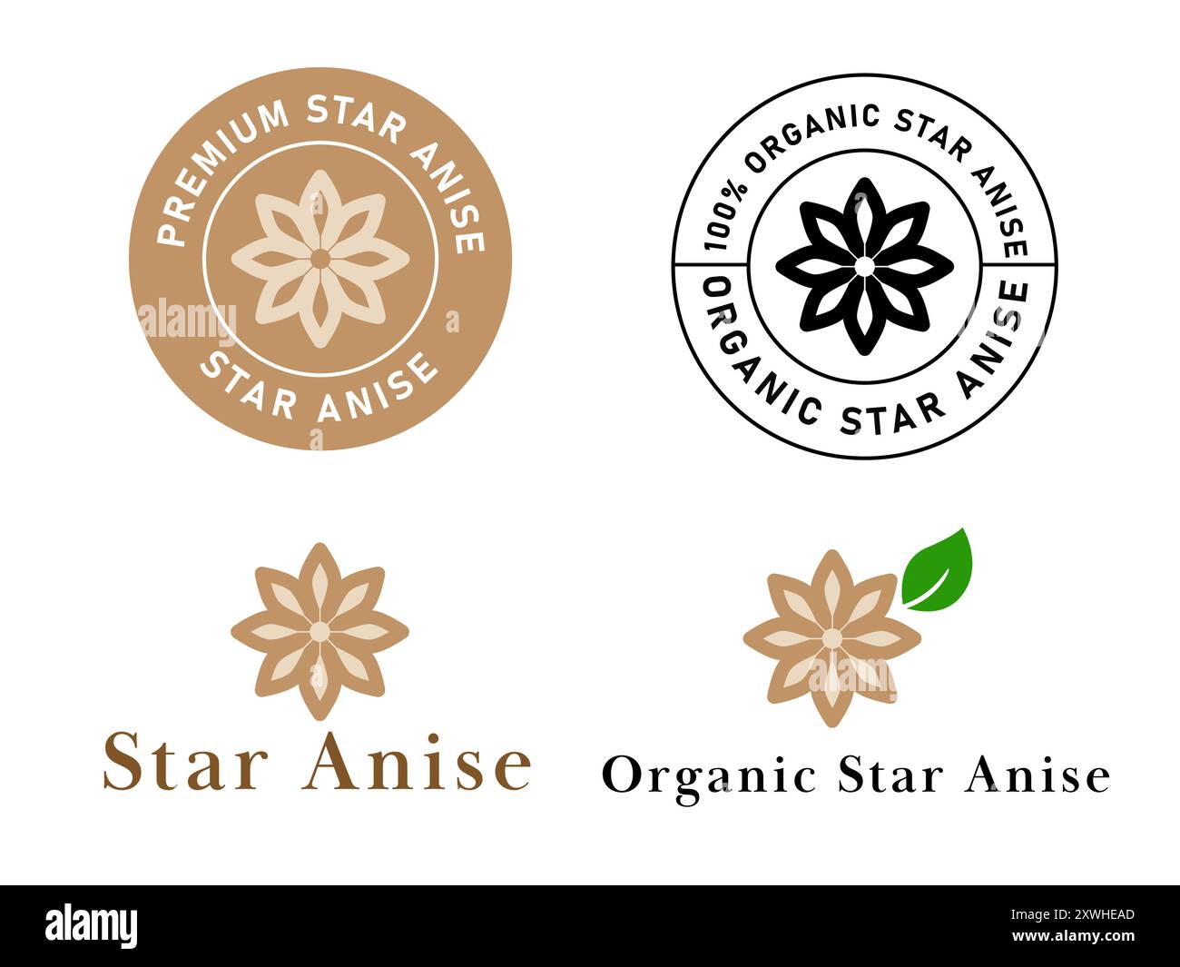 Sternanis Gewürze Etikett Gewürze Kräuter Bio Premium Zutat gesunde Stempel Logo Design Stock Vektor