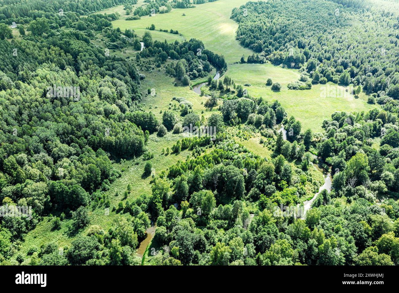 Sommer grüne Landschaft mit kleinem Waldfluss an hellem sonnigem Tag. Luftaufnahmen mit Drohne. Stockfoto