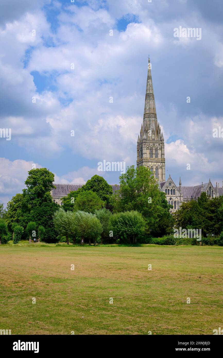 Winchester Cathedral vom West Walk in der Nähe des Harnham Gate Stockfoto