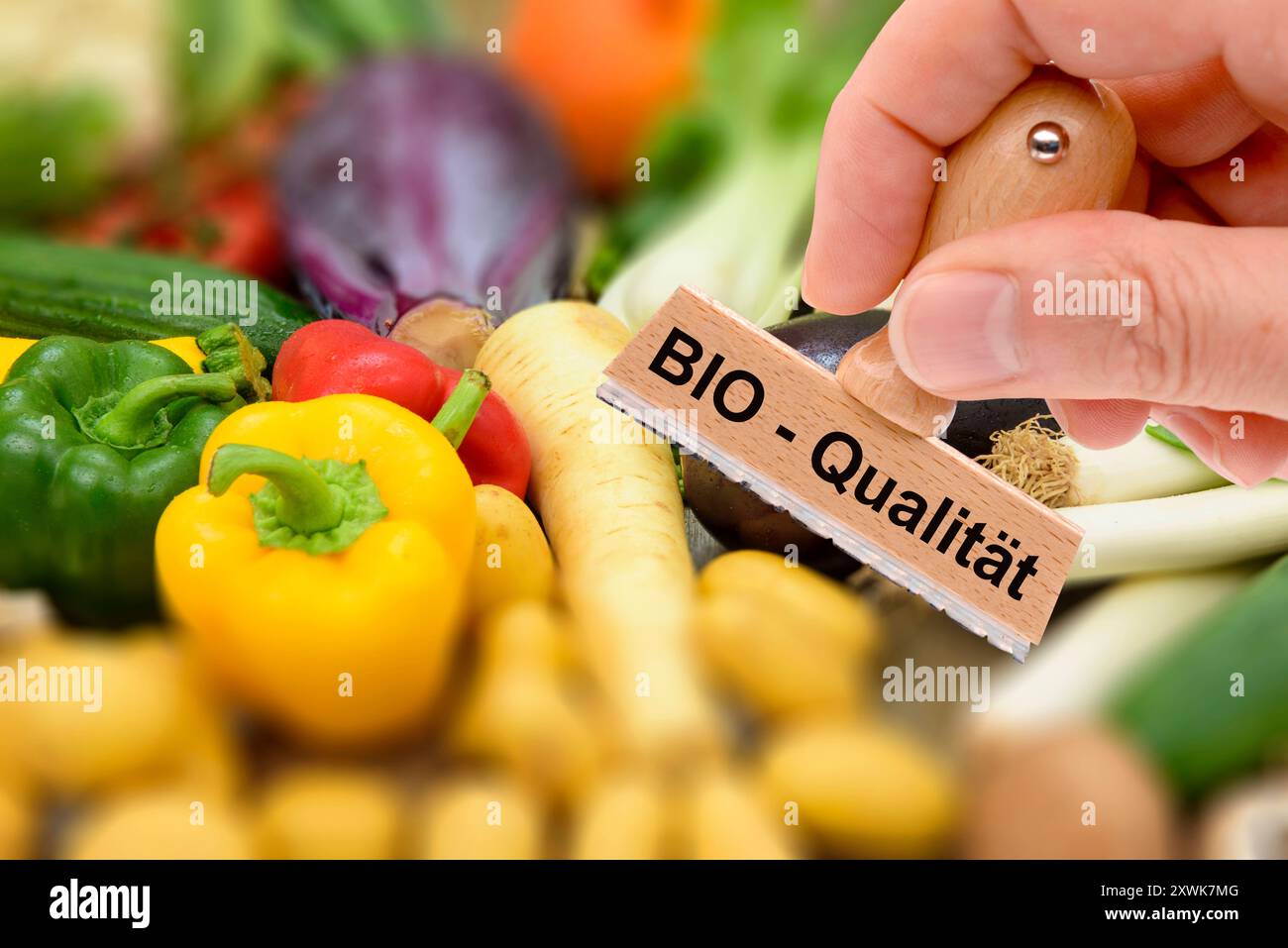 Bio-Qualität von Lebensmitteln ein Holzstempel ist beschriftet mit dem Aufdruck: Bio-Qualität über frisches Obst und Gemüse - FOTOMONTAGE *** Bio q Stockfoto