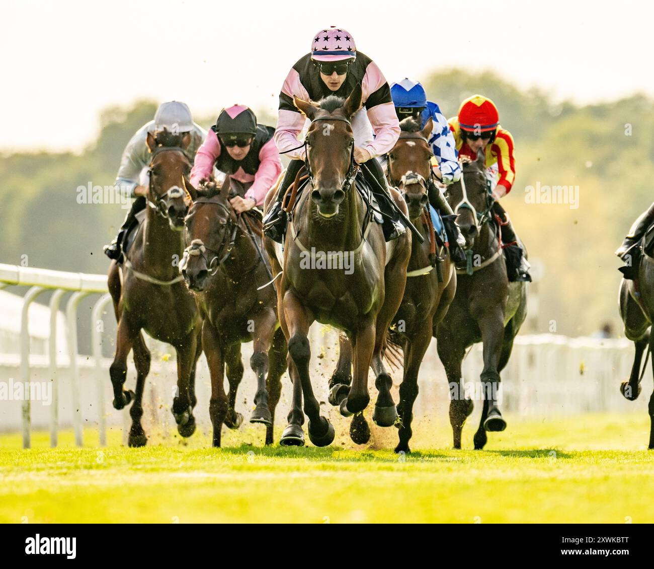 Pferderennen auf der Royal Windsor Racecourse, Großbritannien Stockfoto