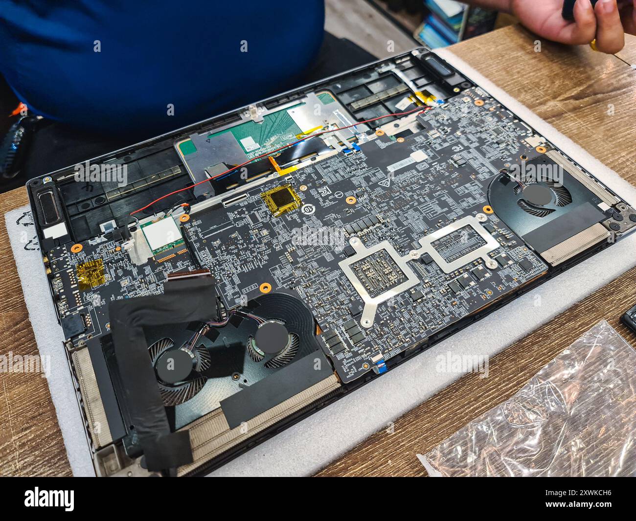 Computertechniker demontieren Hauptplatine mit Schaltkreis der Laptop-Reparatur und -Aufrüstung in der Werkstatt Stockfoto