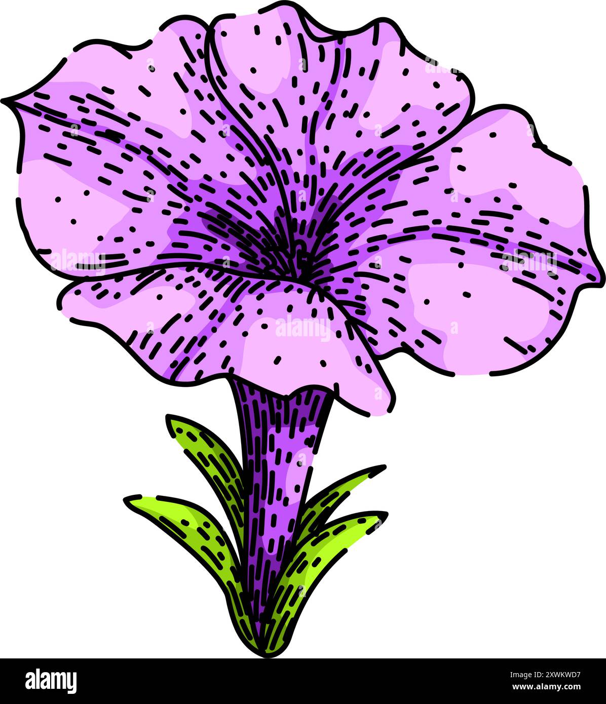 Blumen Petunie Skizze Hand gezeichneter Vektor Stock Vektor