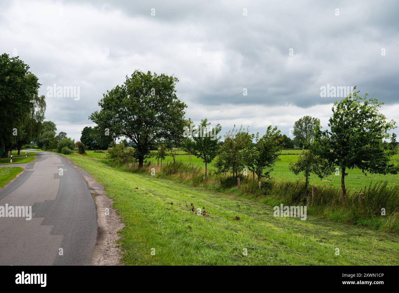 Deich, grüne Wiesen und Bäume an der Wümme, Fischerhude, Niedersachsen, Deutschland Stockfoto