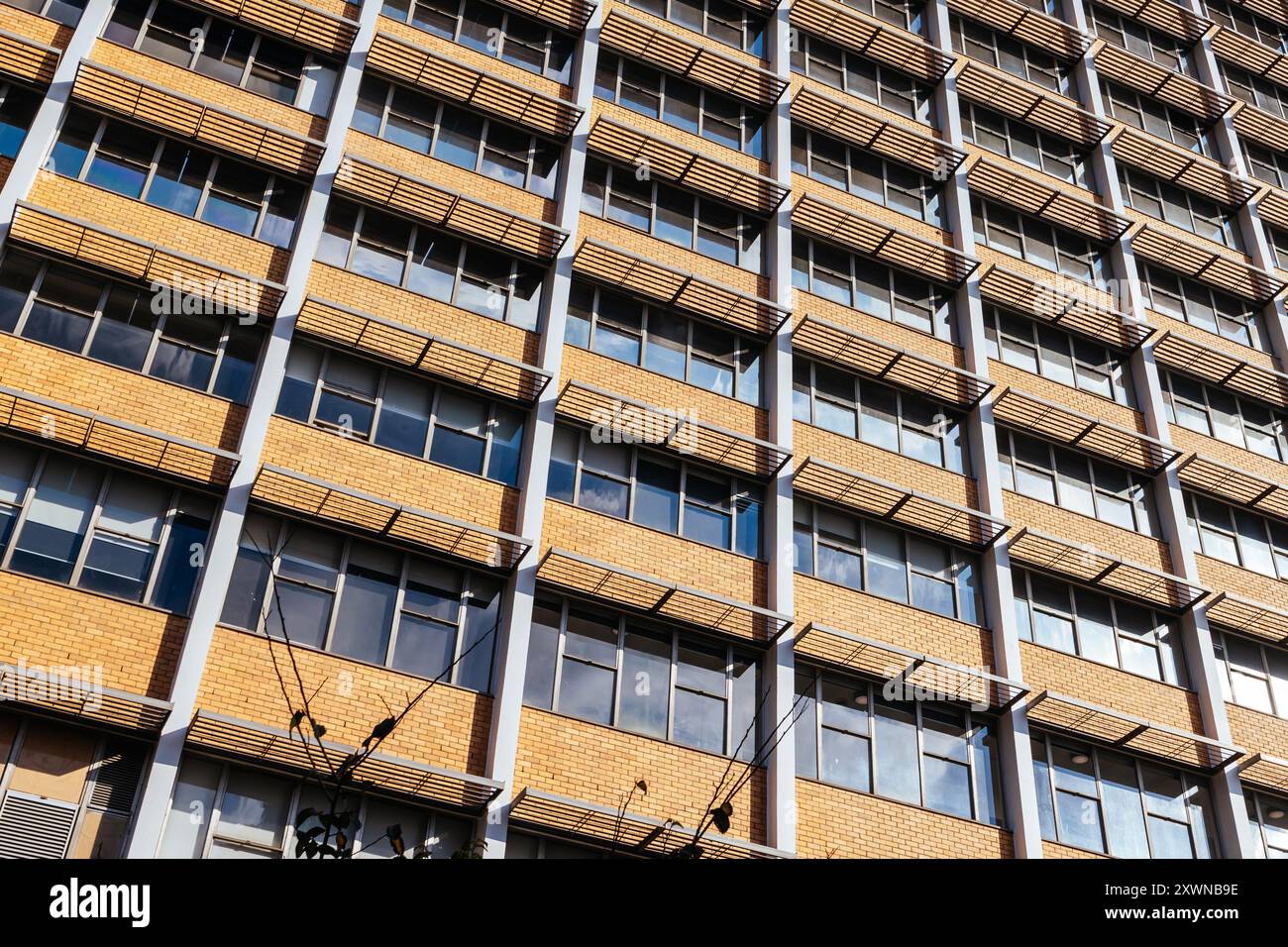 MELBOURNE, AUSTRALIEN - 05. MAI 2024 - Redmond Barry Building und architektonische Details auf dem Campus der Melbourne University parkville in Melbourne, Victoria Stockfoto