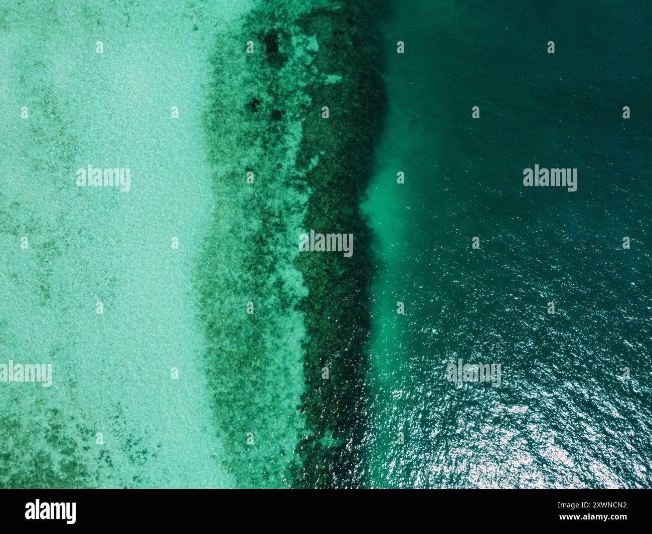 Luftaufnahme des Korallenriffs auf Ko Ngai bei Flut mit einer Unterwasserklippe Stockfoto