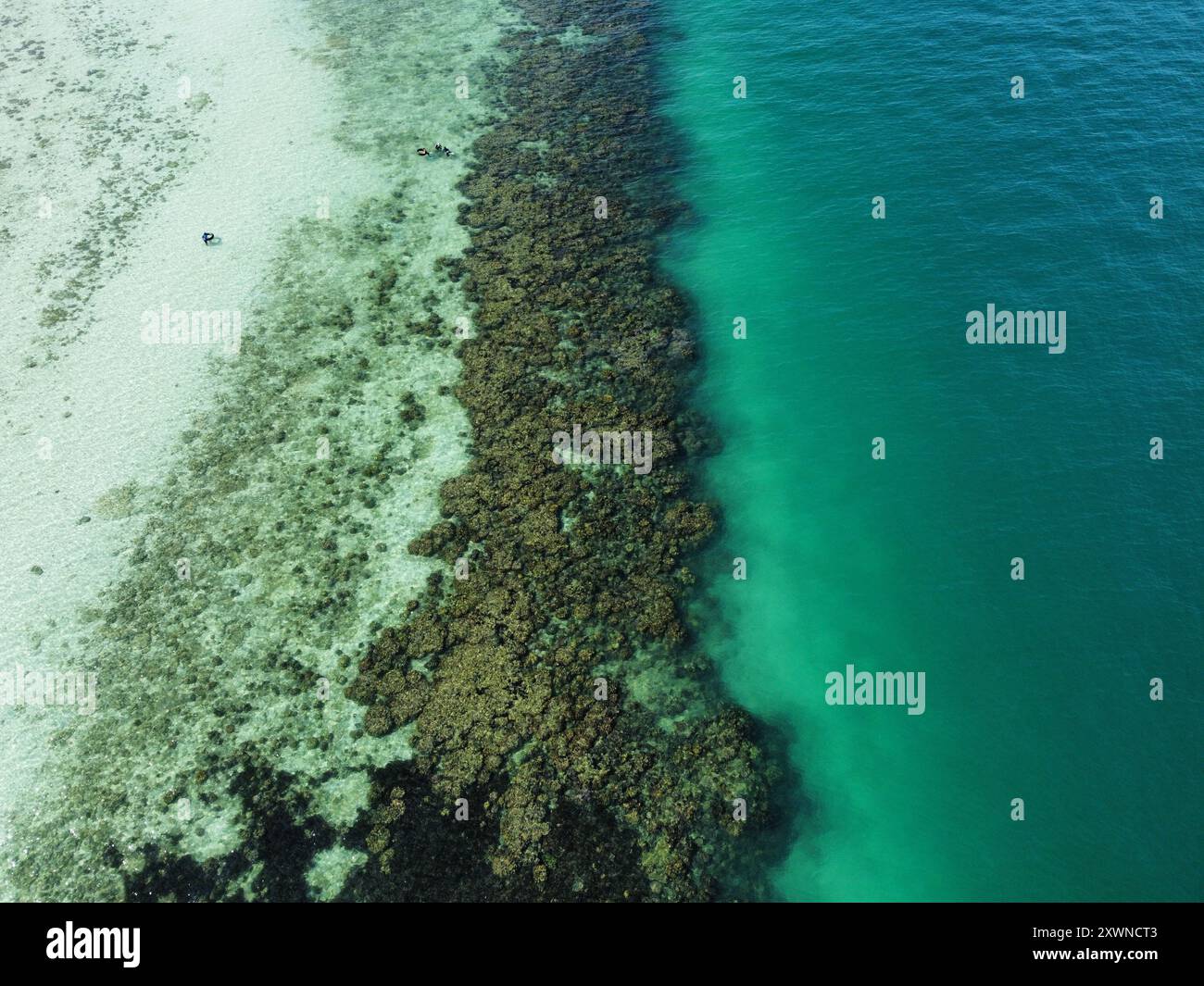 Luftaufnahme des Korallenriffs von Koh Ngai mit einer Unterwasserklippe, die bei Ebbe sichtbar ist Stockfoto
