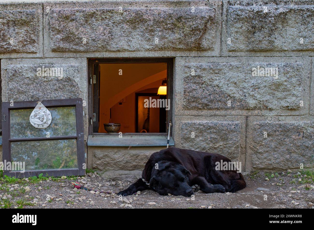 Nationaler Tag Des Hundes. Internationaler Tag Des Hundes. Ein Hund bewacht das Haus. Freundschaft Stockfoto