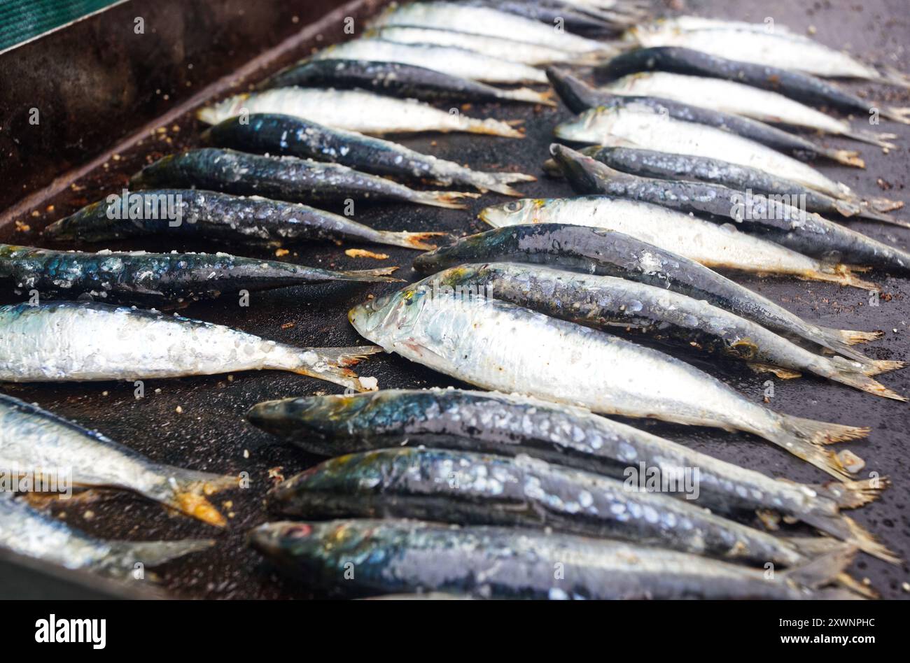 Sardinenfest, in Candás, Asturien, Spanien. Auf dem Paseo de San Antonio. Es ist ein beliebtes Festival. Stockfoto