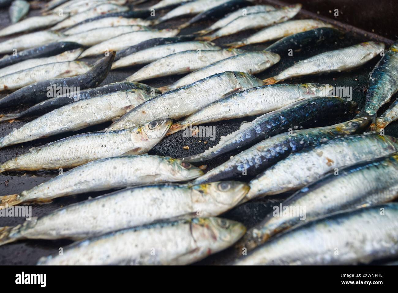 Sardinenfest, in Candás, Asturien, Spanien. Auf dem Paseo de San Antonio. Es ist ein beliebtes Festival. Stockfoto