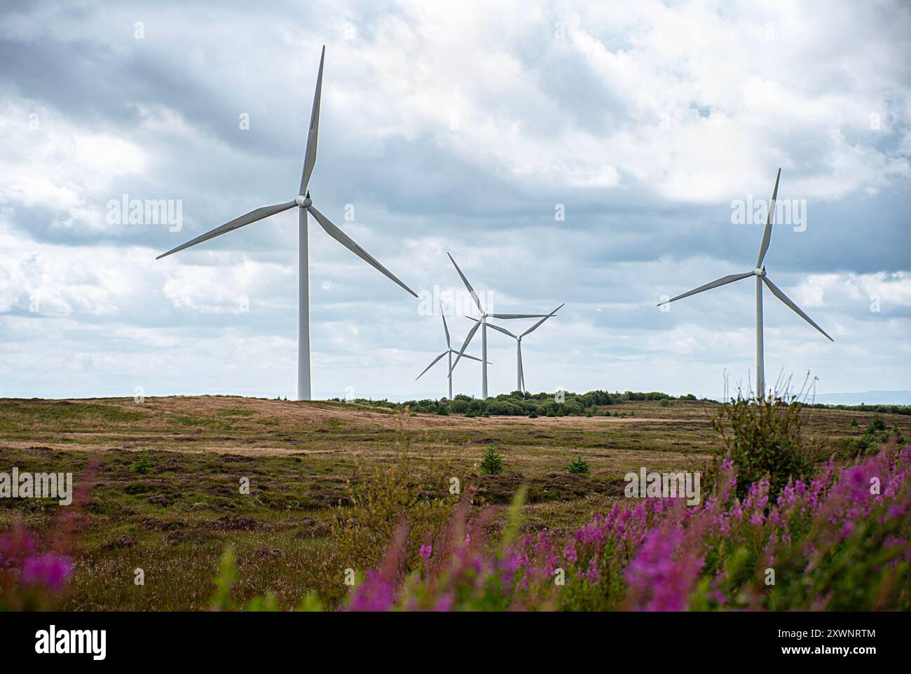 Landschaftsfotografie von Windkraftanlagen; Windmühle; Windkraft; Stromerzeugung; Elektrizität; Industrie; Dekarbonisierung; Innovation; grüne Energie, weiß Stockfoto